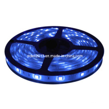 Novo 3528 SMD azul à prova d&#39;água 12V 5m 300 LED tira flexível luz